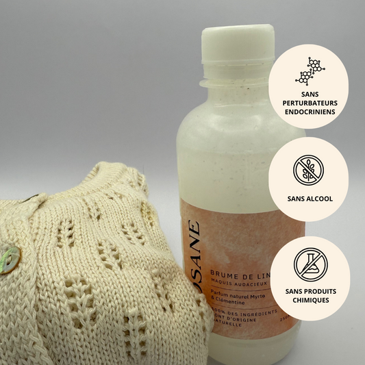 VP Recharge Brume Maquis Audacieux