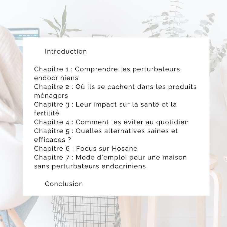 EBOOK - Guide complet du ménage sans perturbateurs endocriniens