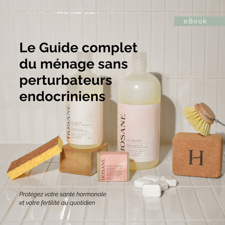 EBOOK - Guide complet du ménage sans perturbateurs endocriniens